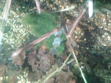 2013-05-05 17.58.58.jpg