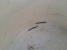 2013-05-05 19.38.09.jpg