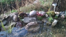 DSC_0015.jpg DSC_0015.jpg
