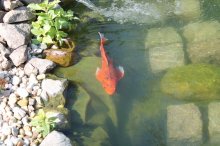 IMG_3141.jpg