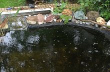 IMG_6199.jpg
