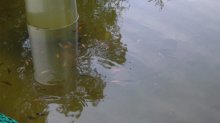 DSCF2174.jpg