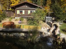 Herbst 2012 (16).jpg Herbst 2012 (16).jpg