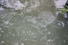 130531 - 1 Regen, Regen, Regen....jpg