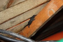 130602 - 9 Aufstieg aus dem Schacht.jpg