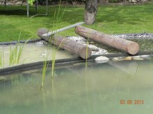 Teichpflanzen 017.jpg