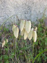 IMG_6202.JPG
