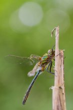 20130511_0026-1666-Kopie.jpg