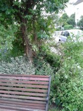20130612_191534.jpg 20130612_191534.jpg