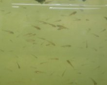 K800_007.JPG