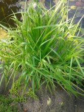 20130614_141612.jpg