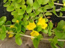20130614_135619.jpg