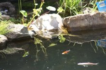 130618 - 1 Impressionen - Spiegelbilder.jpg