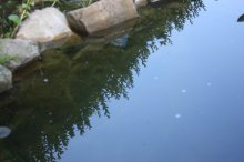 130620 - 1 Impressionen - Spiegelbilder.jpg