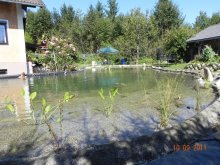 09.09.2012 002.jpg