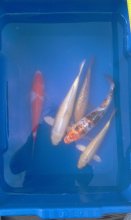 IMAG0673.jpg