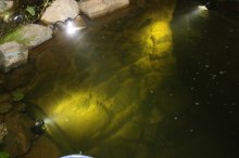 130621 - 1 Neue Unterwasserbeleuchtung.jpg