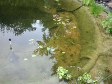 2013-06-24 18.26.56.jpg