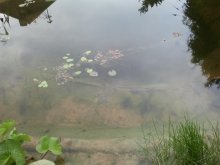 2013-06-24 18.27.49.jpg
