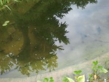 2013-06-24 19.04.49.jpg