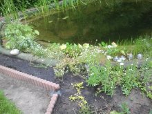 2013-06-24 19.05.00.jpg
