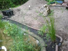2013-06-24 19.05.21.jpg