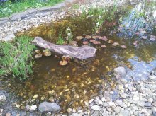 20130506_173610.jpg 20130506_173610.jpg