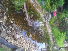 20130506_173443.jpg 20130506_173443.jpg