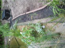 2013-06-25 17.00.32.jpg