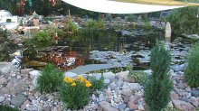 teich21a.jpg