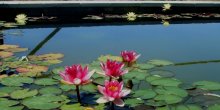 DSCF2873.JPG