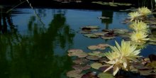 DSCF2819.JPG