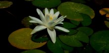 DSCF2928.JPG