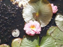 100_5703.jpg