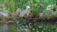 DSC00942.jpg