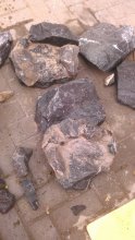 IMAG1470.jpg