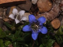 K640_DSCF9661.JPG