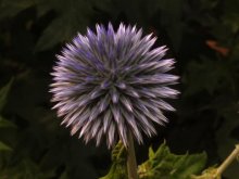 K640_DSCF9759.JPG