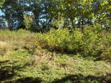 2011-10-22 13.04.13.jpg