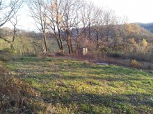 2011-11-14 15.40.49.jpg
