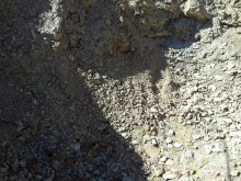 2012-04-01 15.27.57.jpg