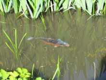 2012 066.jpg