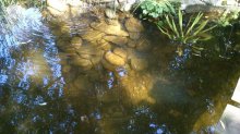 DSC_0024WK.jpg