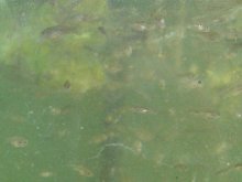 K800_011.JPG