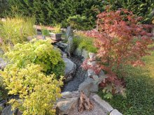 DSCN4528.jpg