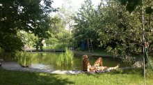 2013-06-18-1242[1].jpg
