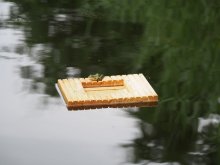 Vogeltränke 001.jpg Vogeltränke 001.jpg