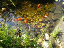 20130810_104030.jpg