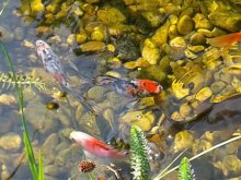 20130810_104137.jpg