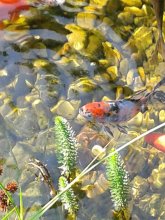 20130810_104442.jpg